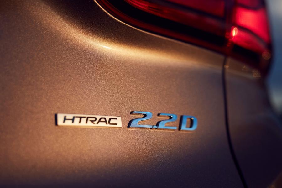 Логотип Hyundai Santa Fe Elite (TM) 2018 года  (AU) (фото 12 из 17)